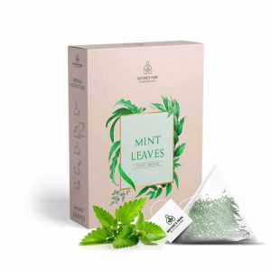 Mint Leaves HI 02