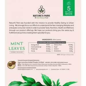 Mint Leaves HI 04