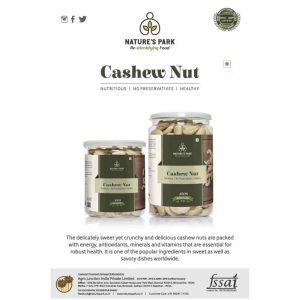 Cashew Nuts Catalogue