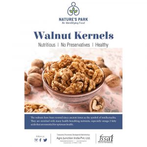 Walnut Kernals