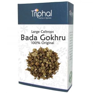 Bada-Gokhru