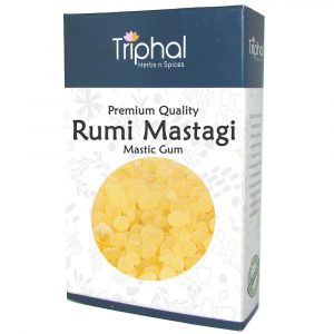 Rumi-Mastagi