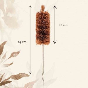 measurement of coir brush (1)