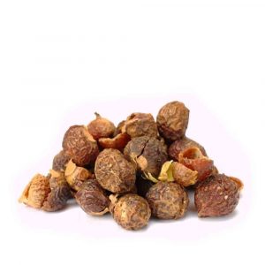 soap nuts