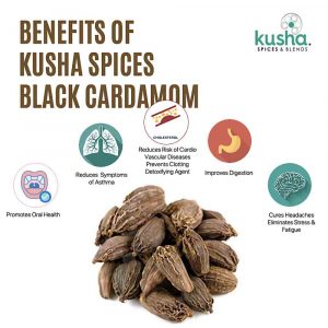Health Benefits Black Cardamom