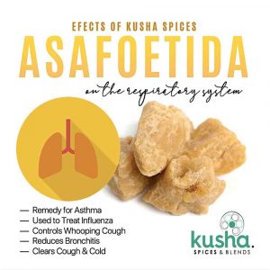 Kusha Spices Asafoetida Health Benefits 1