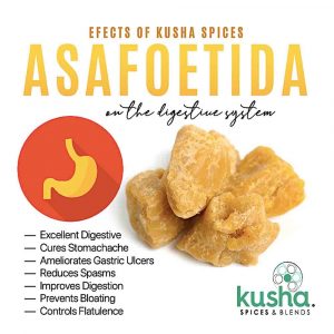 Kusha Spices Asafoetida – Health Benefits 2