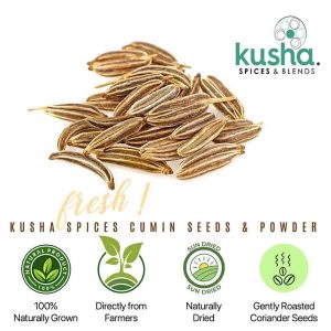 Kusha Spices Cumin – USP