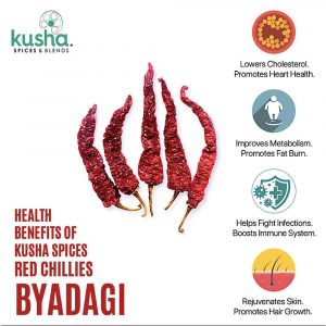 Kusha Spices Red Chillies Byadagi – Health Benefits