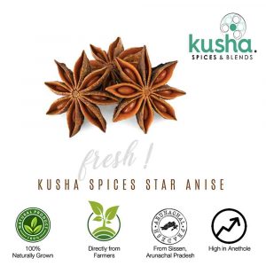 Kusha Spices Star Anise Fresh