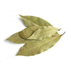 Original Indian Bay Leaf